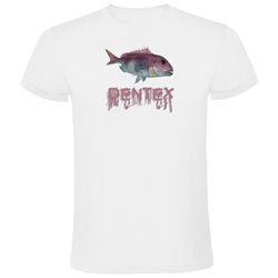 T Shirt Fishing Dentex Short Sleeves Man