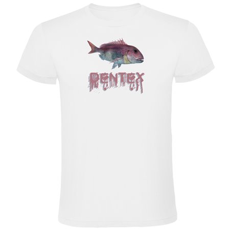T Shirt Pesca Dentex Manica Corta Uomo
