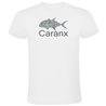 T Shirt Diving Caranx Short Sleeves Man